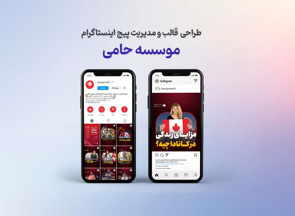 موسسه‌ی مهاجرتی حامی